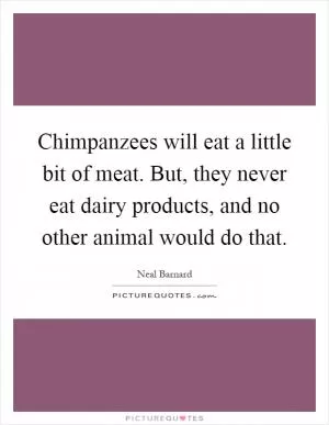Chimpanzees will eat a little bit of meat. But, they never eat dairy products, and no other animal would do that Picture Quote #1