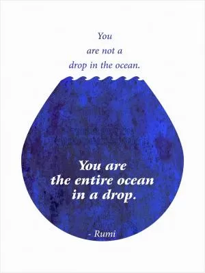 You are not a drop in the ocean. You are the entire ocean in a drop Picture Quote #1