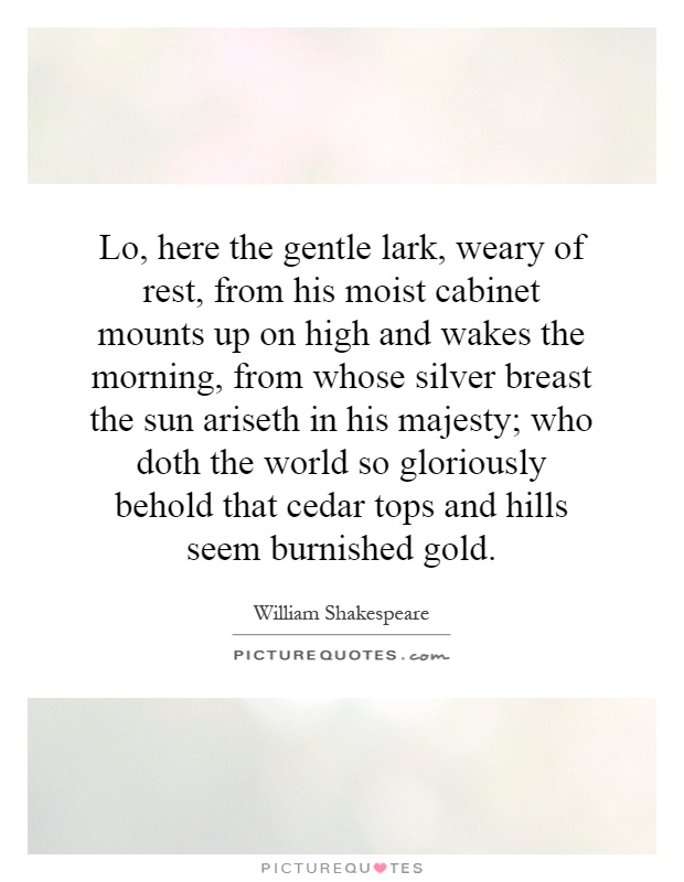 Lo, here the gentle lark, weary of rest, from his moist cabinet mounts up on high and wakes the morning, from whose silver breast the sun ariseth in his majesty; who doth the world so gloriously behold that cedar tops and hills seem burnished gold Picture Quote #1