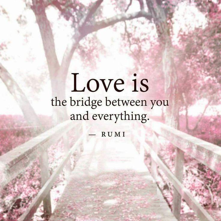 Love is a bridge between you and everything Picture Quote #1