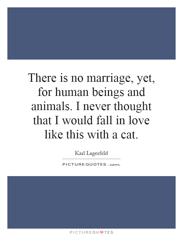 There is no marriage, yet, for human beings and animals. I never thought that I would fall in love like this with a cat Picture Quote #1