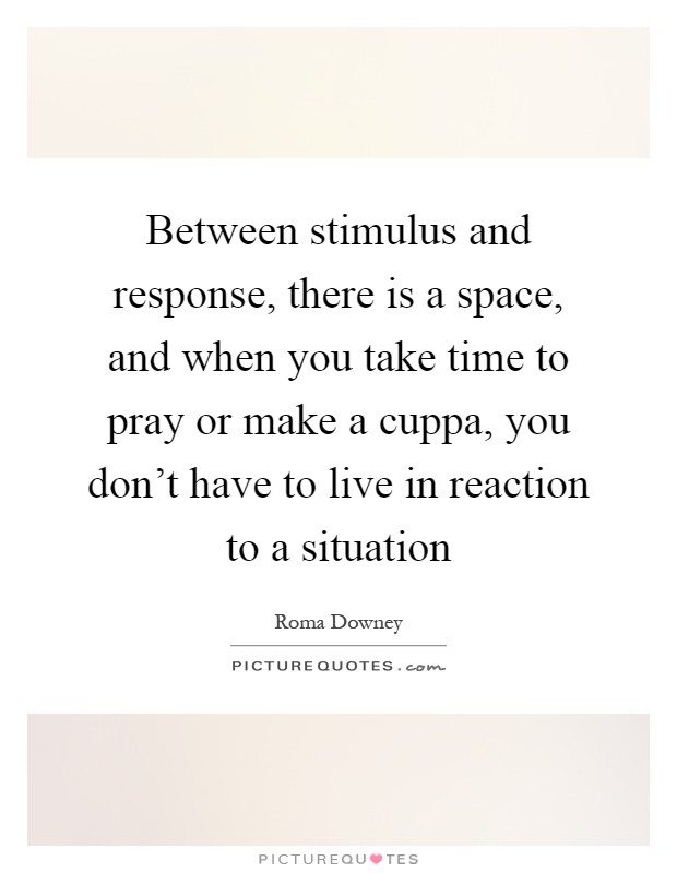 Between stimulus and response, there is a space, and when you take time to pray or make a cuppa, you don't have to live in reaction to a situation Picture Quote #1