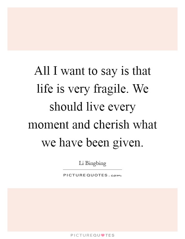 All I want to say is that life is very fragile. We should live every moment and cherish what we have been given Picture Quote #1