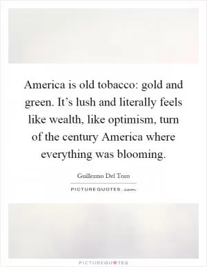 America is old tobacco: gold and green. It’s lush and literally feels like wealth, like optimism, turn of the century America where everything was blooming Picture Quote #1