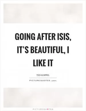 Going after ISIS, it’s beautiful, I like it Picture Quote #1