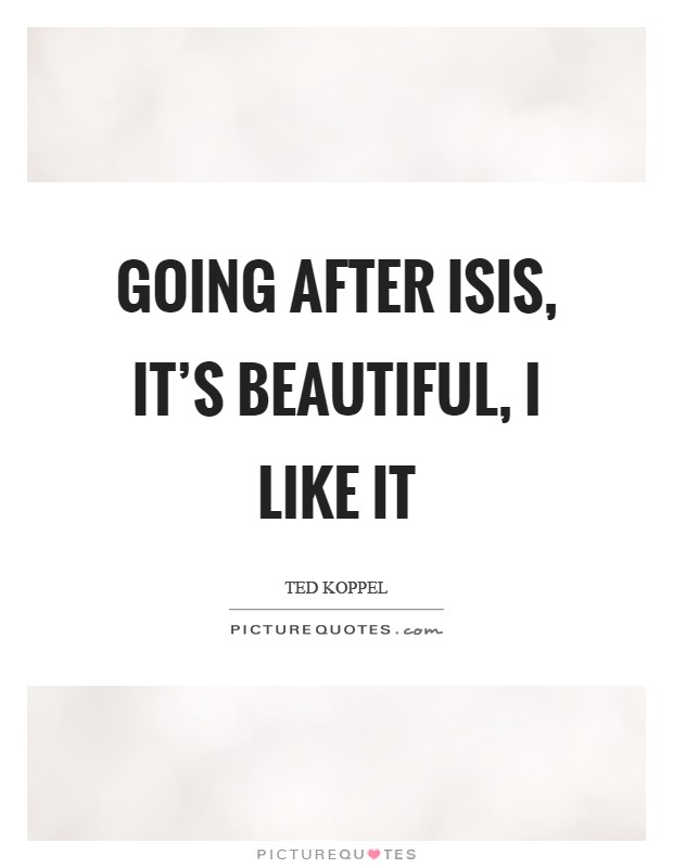 Going after ISIS, it's beautiful, I like it Picture Quote #1