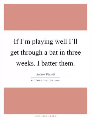 If I’m playing well I’ll get through a bat in three weeks. I batter them Picture Quote #1
