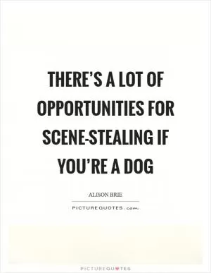 There’s a lot of opportunities for scene-stealing if you’re a dog Picture Quote #1