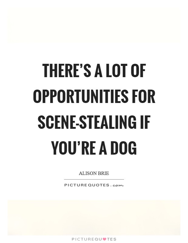 There's a lot of opportunities for scene-stealing if you're a dog Picture Quote #1