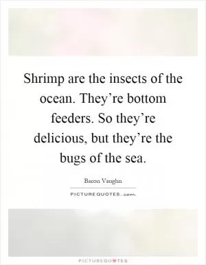 Shrimp are the insects of the ocean. They’re bottom feeders. So they’re delicious, but they’re the bugs of the sea Picture Quote #1