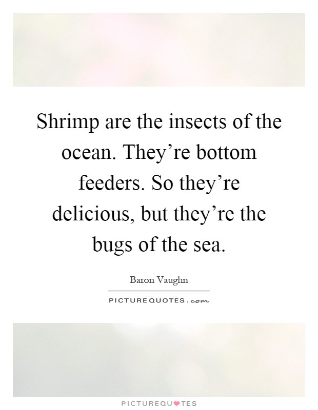 Shrimp are the insects of the ocean. They're bottom feeders. So they're delicious, but they're the bugs of the sea Picture Quote #1