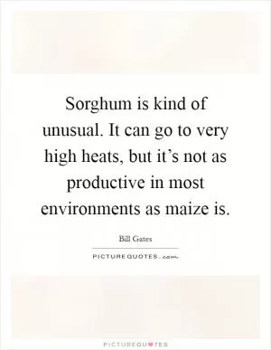 Sorghum is kind of unusual. It can go to very high heats, but it’s not as productive in most environments as maize is Picture Quote #1