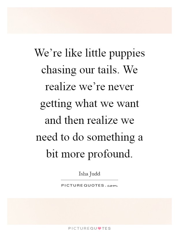 We're like little puppies chasing our tails. We realize we're never getting what we want and then realize we need to do something a bit more profound Picture Quote #1