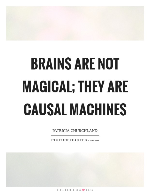 Brains are not magical; they are causal machines Picture Quote #1