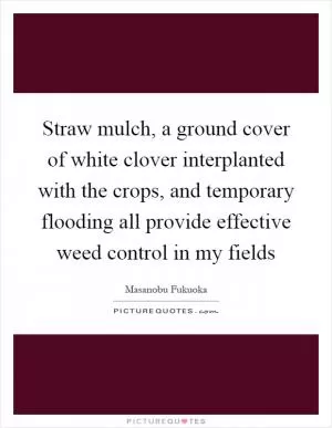 Straw mulch, a ground cover of white clover interplanted with the crops, and temporary flooding all provide effective weed control in my fields Picture Quote #1