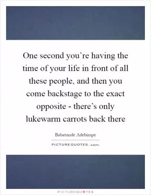 One second you’re having the time of your life in front of all these people, and then you come backstage to the exact opposite - there’s only lukewarm carrots back there Picture Quote #1