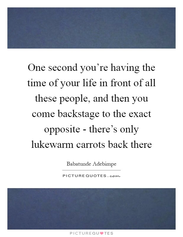 One second you're having the time of your life in front of all these people, and then you come backstage to the exact opposite - there's only lukewarm carrots back there Picture Quote #1