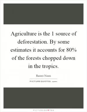 Agriculture is the 1 source of deforestation. By some estimates it accounts for 80% of the forests chopped down in the tropics Picture Quote #1