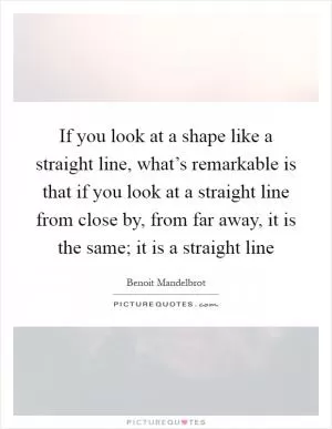 If you look at a shape like a straight line, what’s remarkable is that if you look at a straight line from close by, from far away, it is the same; it is a straight line Picture Quote #1