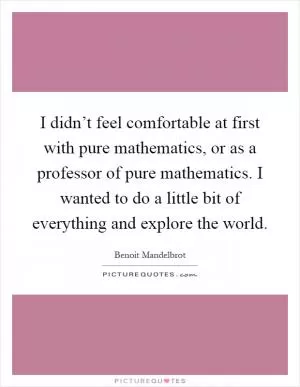 I didn’t feel comfortable at first with pure mathematics, or as a professor of pure mathematics. I wanted to do a little bit of everything and explore the world Picture Quote #1