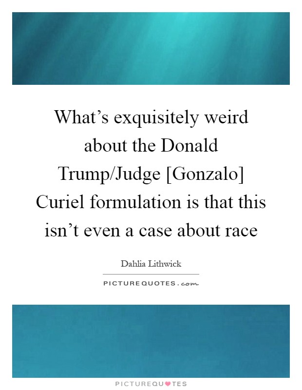 What's exquisitely weird about the Donald Trump/Judge [Gonzalo] Curiel formulation is that this isn't even a case about race Picture Quote #1