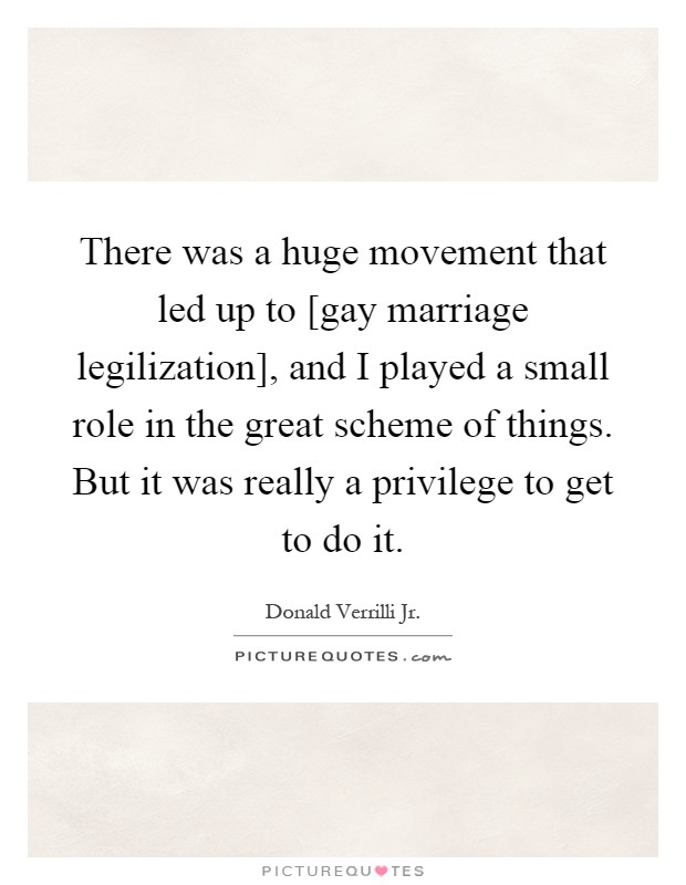 There was a huge movement that led up to [gay marriage legilization], and I played a small role in the great scheme of things. But it was really a privilege to get to do it Picture Quote #1