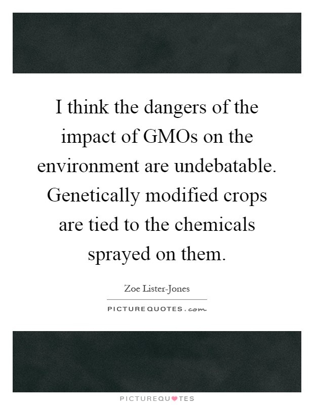 I think the dangers of the impact of GMOs on the environment are undebatable. Genetically modified crops are tied to the chemicals sprayed on them Picture Quote #1