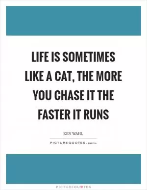 Life is sometimes like a cat, the more you chase it the faster it runs Picture Quote #1