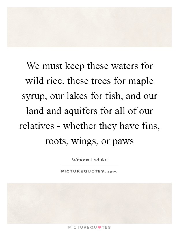 We must keep these waters for wild rice, these trees for maple syrup, our lakes for fish, and our land and aquifers for all of our relatives - whether they have fins, roots, wings, or paws Picture Quote #1