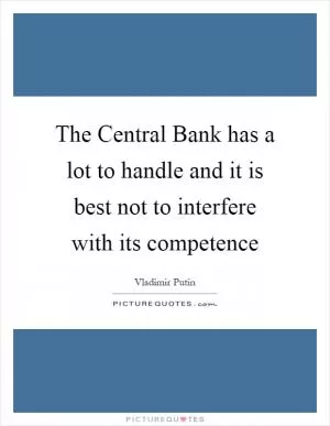 The Central Bank has a lot to handle and it is best not to interfere with its competence Picture Quote #1