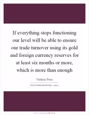 If everything stops functioning our level will be able to ensure our trade turnover using its gold and foreign currency reserves for at least six months or more, which is more than enough Picture Quote #1
