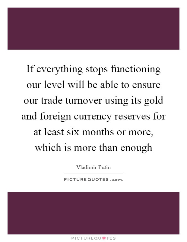 If everything stops functioning our level will be able to ensure our trade turnover using its gold and foreign currency reserves for at least six months or more, which is more than enough Picture Quote #1
