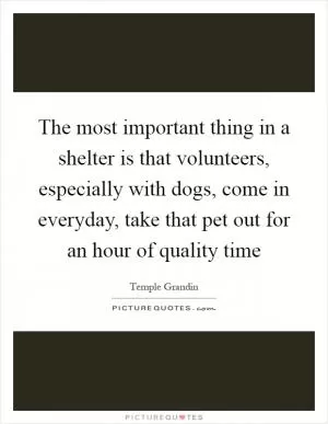 The most important thing in a shelter is that volunteers, especially with dogs, come in everyday, take that pet out for an hour of quality time Picture Quote #1