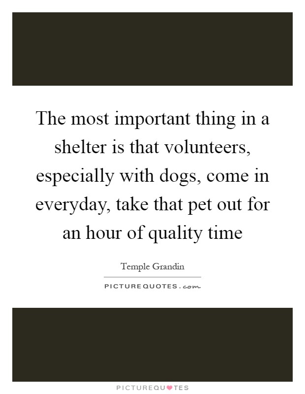 The most important thing in a shelter is that volunteers, especially with dogs, come in everyday, take that pet out for an hour of quality time Picture Quote #1