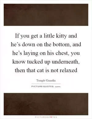 If you get a little kitty and he’s down on the bottom, and he’s laying on his chest, you know tucked up underneath, then that cat is not relaxed Picture Quote #1