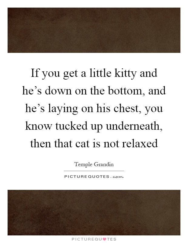 If you get a little kitty and he's down on the bottom, and he's laying on his chest, you know tucked up underneath, then that cat is not relaxed Picture Quote #1