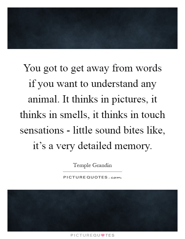 You got to get away from words if you want to understand any animal. It thinks in pictures, it thinks in smells, it thinks in touch sensations - little sound bites like, it's a very detailed memory Picture Quote #1