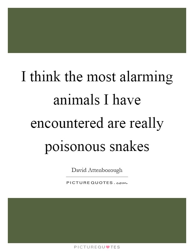 I think the most alarming animals I have encountered are really poisonous snakes Picture Quote #1