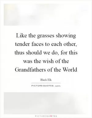 Like the grasses showing tender faces to each other, thus should we do, for this was the wish of the Grandfathers of the World Picture Quote #1