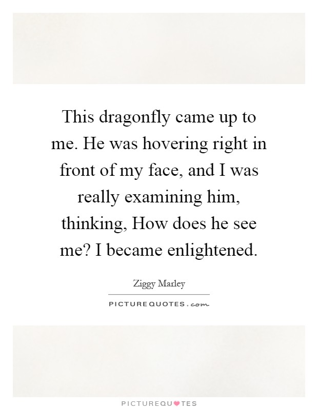 This dragonfly came up to me. He was hovering right in front of my face, and I was really examining him, thinking, How does he see me? I became enlightened Picture Quote #1