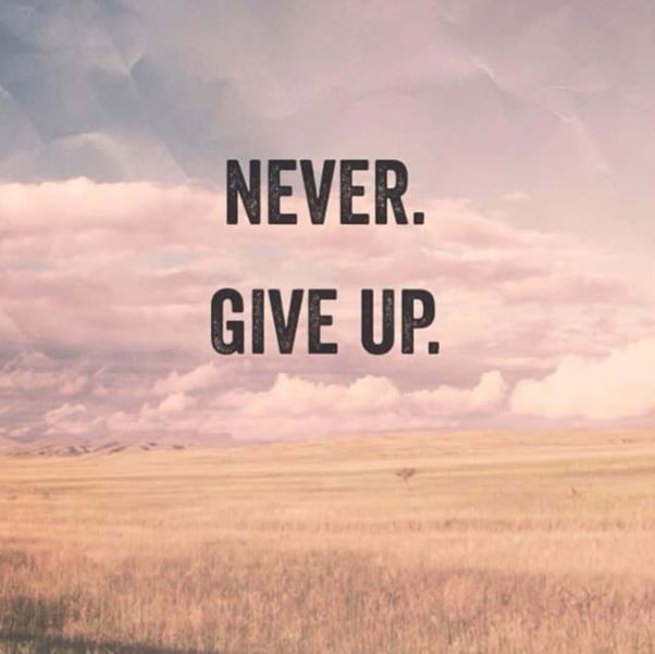 Never. Give up Picture Quote #1
