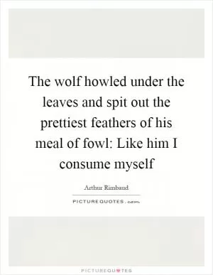 The wolf howled under the leaves and spit out the prettiest feathers of his meal of fowl: Like him I consume myself Picture Quote #1