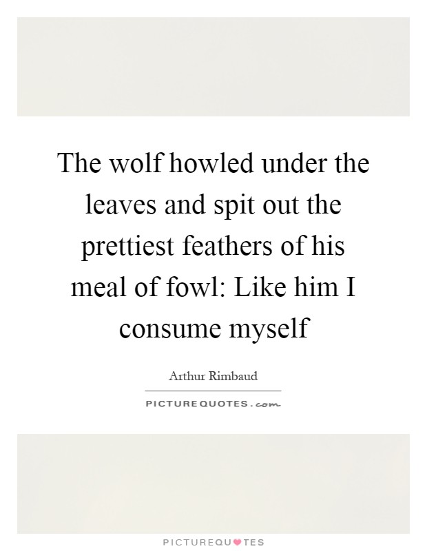 The wolf howled under the leaves and spit out the prettiest feathers of his meal of fowl: Like him I consume myself Picture Quote #1