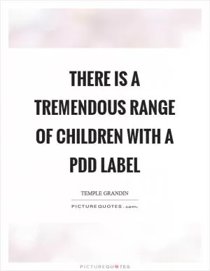 There is a tremendous range of children with a PDD label Picture Quote #1