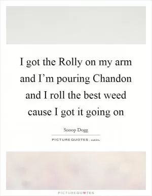 I got the Rolly on my arm and I’m pouring Chandon and I roll the best weed cause I got it going on Picture Quote #1