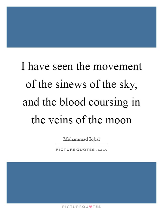 I have seen the movement of the sinews of the sky, and the blood coursing in the veins of the moon Picture Quote #1