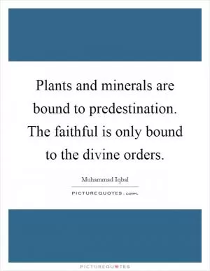 Plants and minerals are bound to predestination. The faithful is only bound to the divine orders Picture Quote #1