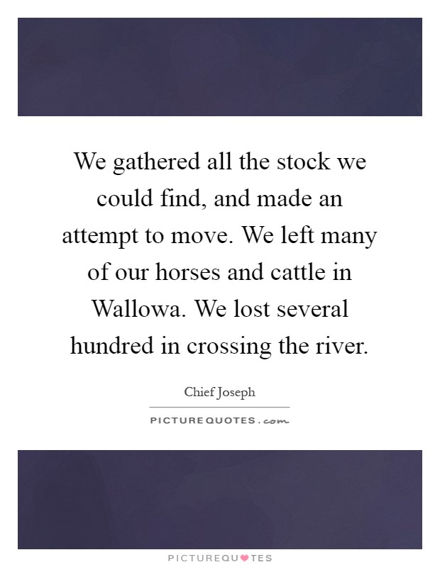 We gathered all the stock we could find, and made an attempt to move. We left many of our horses and cattle in Wallowa. We lost several hundred in crossing the river Picture Quote #1