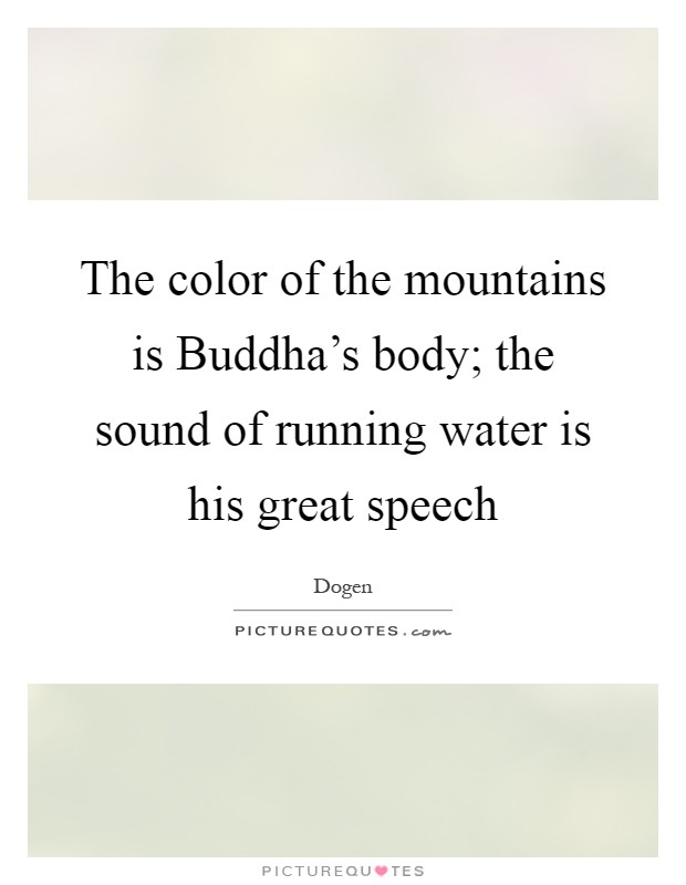 The color of the mountains is Buddha's body; the sound of running water is his great speech Picture Quote #1