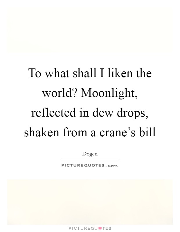 To what shall I liken the world? Moonlight, reflected in dew drops, shaken from a crane's bill Picture Quote #1